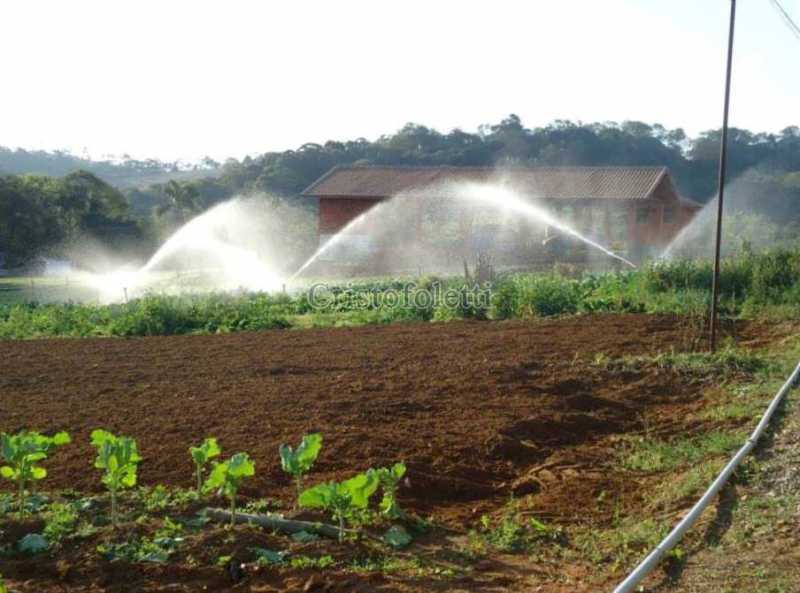Conheça 17 - horta irrigada do imóvel - Sítio 72600m² à venda Estrada do Paiol Grande,Ibiúna,SP Sorocabuçu - R$ 3.000.000 - ISVE0105 - 18 17 - horta irrigada - 18