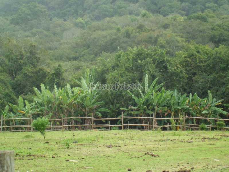 Conheça 29 - área de camping do imóvel - Sítio 72600m² à venda Estrada do Paiol Grande,Ibiúna,SP Sorocabuçu - R$ 3.000.000 - ISVE0105 - 30 29 - área de camping - 30
