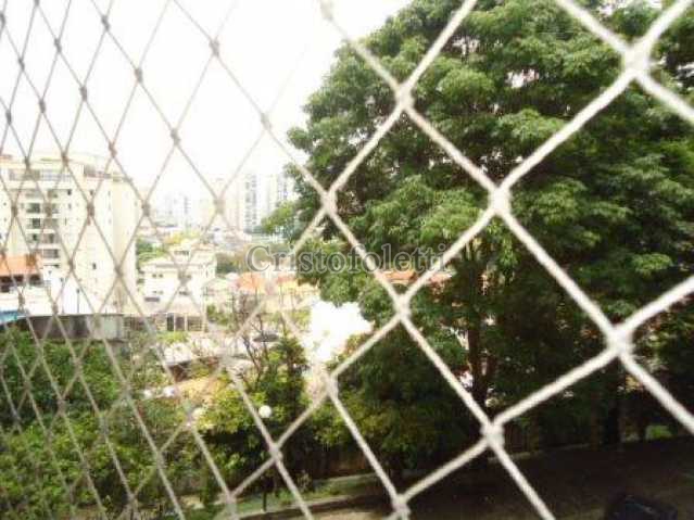 Conheça Vista aberta. do imóvel - Apartamento, 3 dormitorios, Vila Monumento - CALO0007 - 11 Vista aberta. - 11