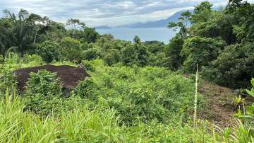 PRÓXIMO A PRAIA - Terreno Gleba à venda Ilhabela,SP - R$ 2.000.000 - ILGL00224