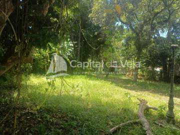 TERRENO PLANO NA COCAIA COM CONSTRUÇÃO EXISTENTE - ILGL00236