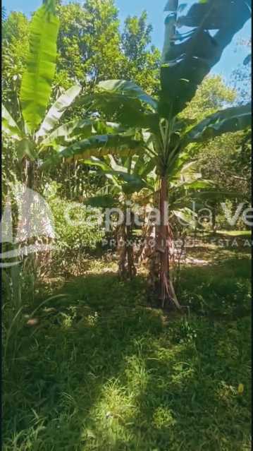 WhatsApp Image 2025-03-25 at 1 - 9