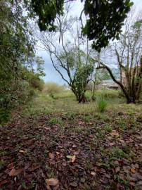 Terreno Gleba à venda Ilhabela,SP Armação - R$ 1.250.000 - ILGL00238