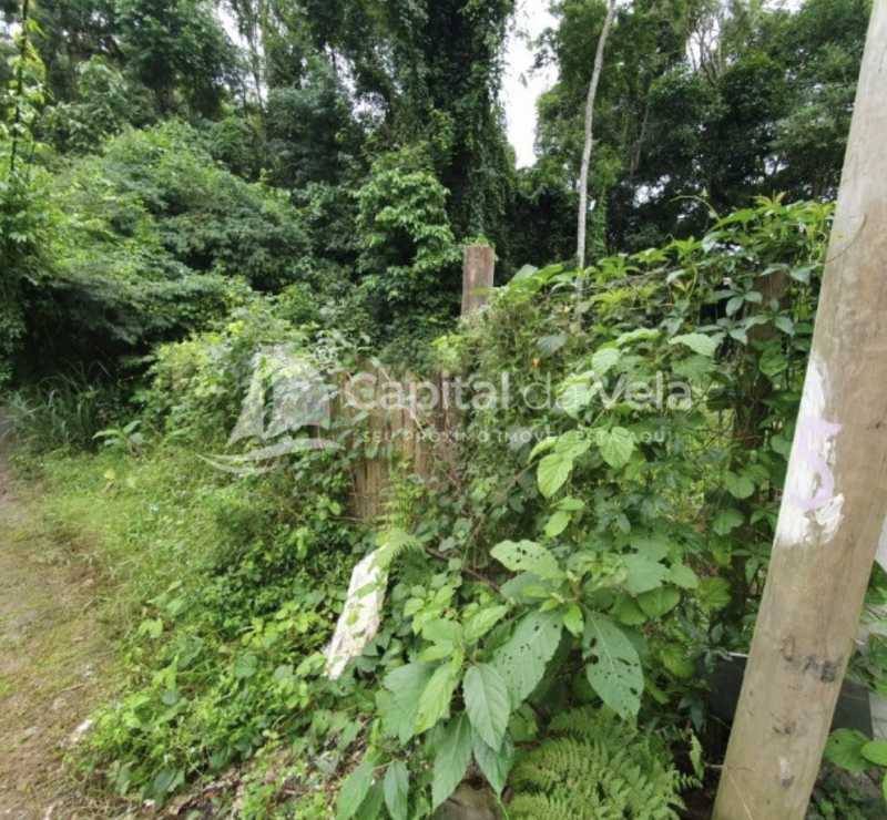 Conheça IMG_4564. do imóvel - TERRENO PLANO EM ILHABELA - ILGL00259 - 3 IMG_4564. - 3