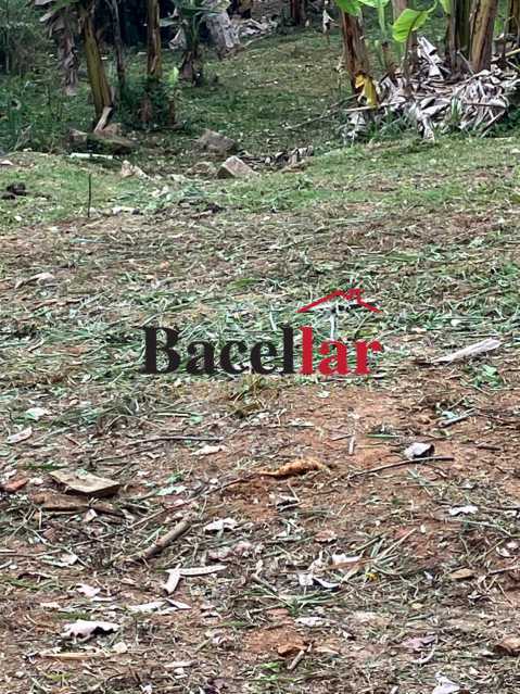 WhatsApp Image 2025-04-10 at 1 - 12