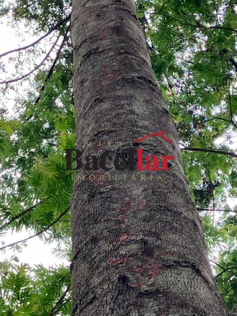 WhatsApp Image 2025-04-10 at 1 - 21