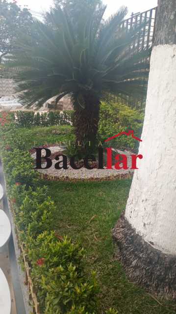 JARDIM - 17