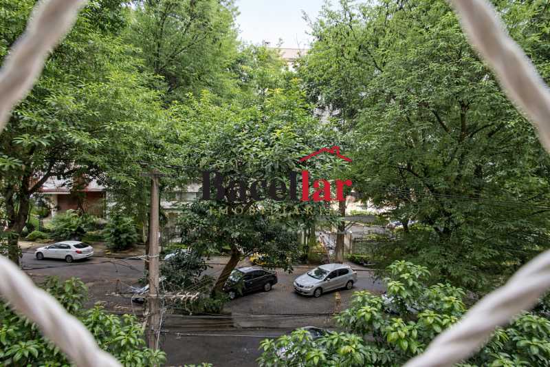 Vista tranquila de rua arboriz - 2
