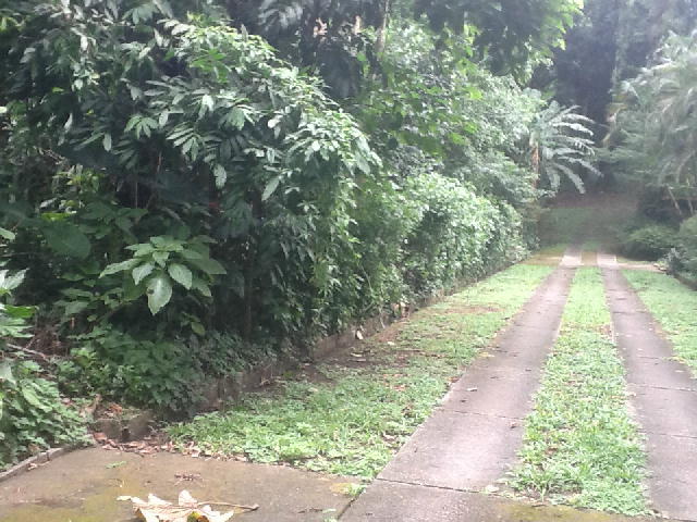 FOTO3 - 2