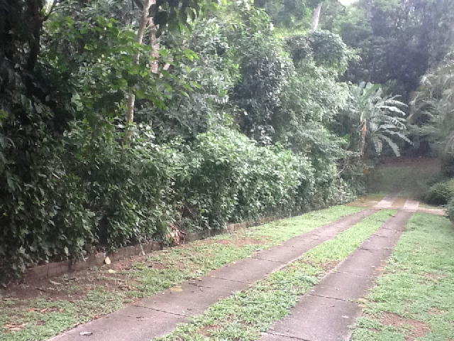 FOTO5 - 3