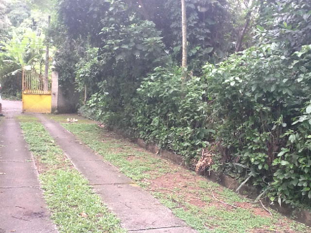FOTO8 - 5