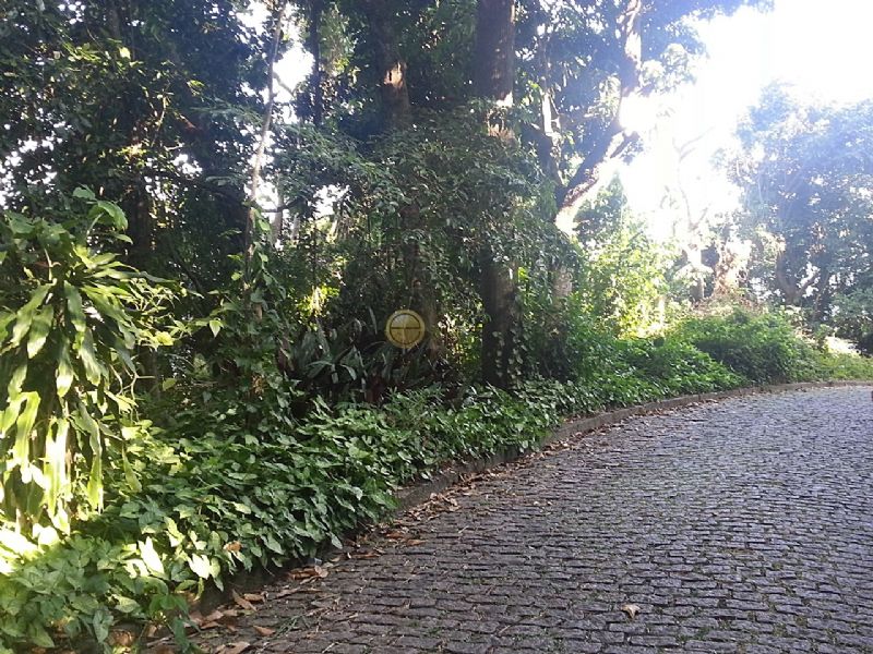 FOTO1 - 1