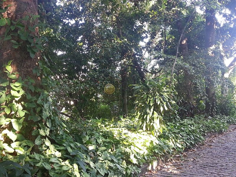 FOTO2 - 3