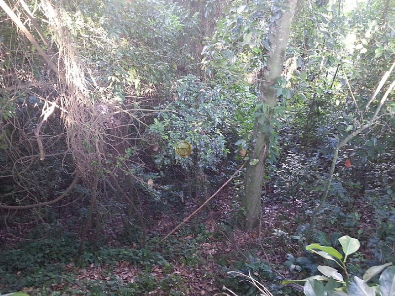 FOTO3 - 4