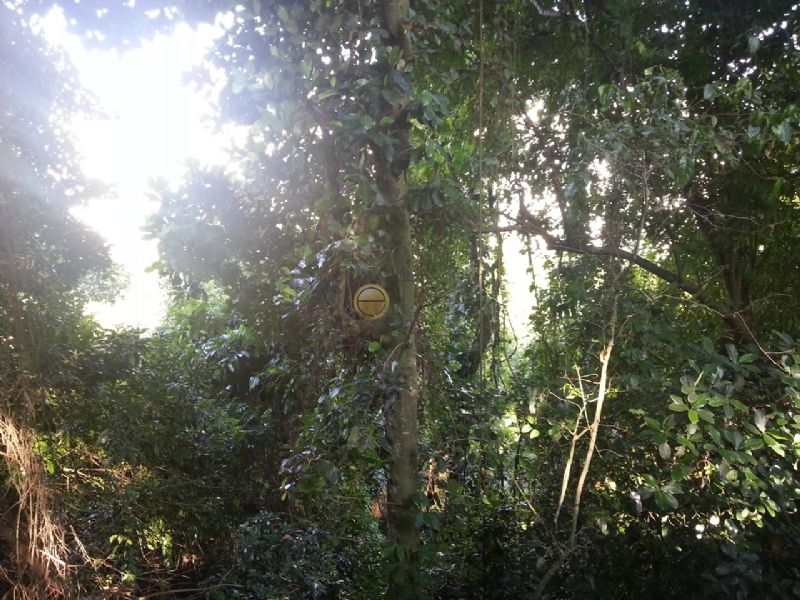 FOTO4 - 5