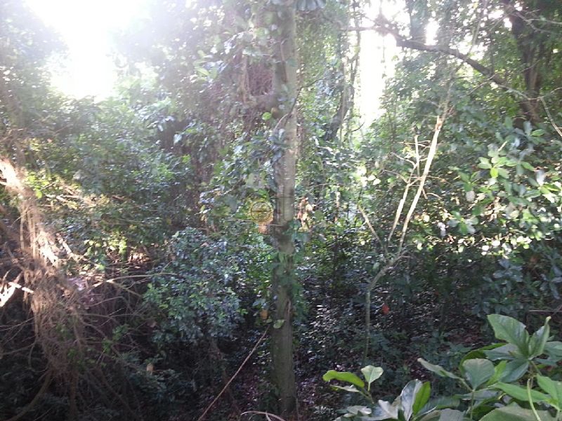FOTO5 - 6