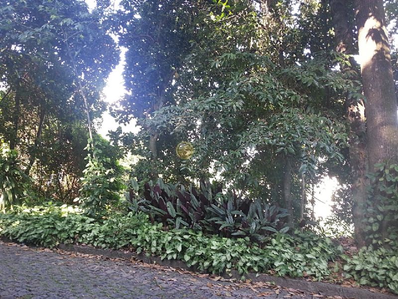FOTO6 - 7