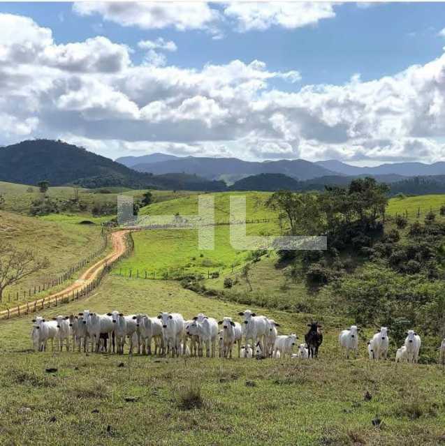 Conheça 002. do imóvel - Fazenda 2565000m² à venda Teresópolis,RJ Área Rural De Teresópolis - R$ 11.000.000 - 01461FA - 2 002. - 2