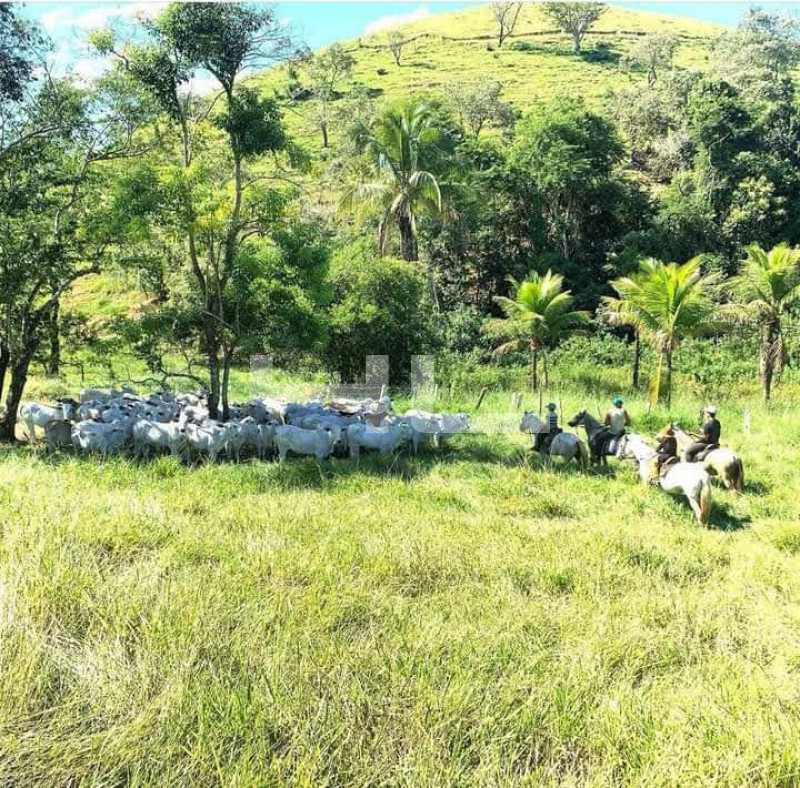 Conheça 004. do imóvel - Fazenda 2565000m² à venda Teresópolis,RJ Área Rural De Teresópolis - R$ 11.000.000 - 01461FA - 4 004. - 4