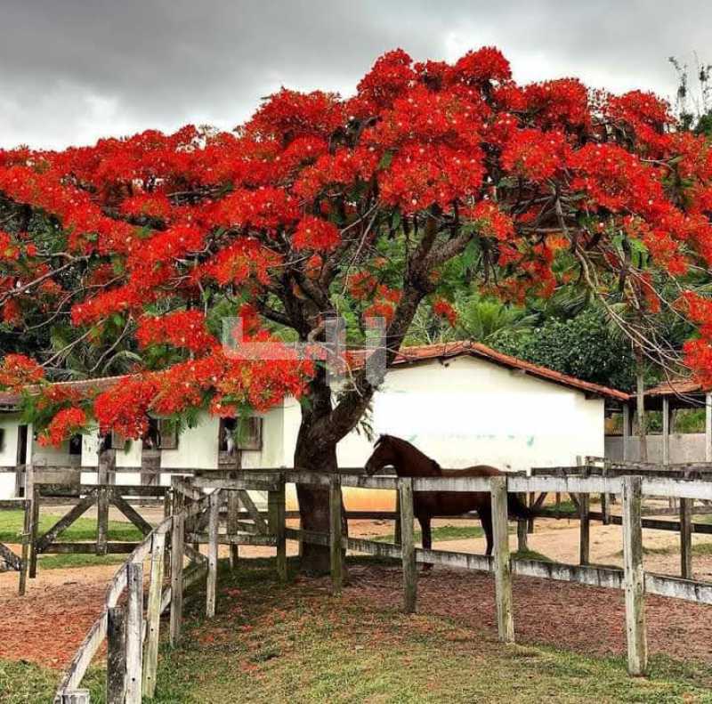 Conheça 009. do imóvel - Fazenda 2565000m² à venda Teresópolis,RJ Área Rural De Teresópolis - R$ 11.000.000 - 01461FA - 9 009. - 9