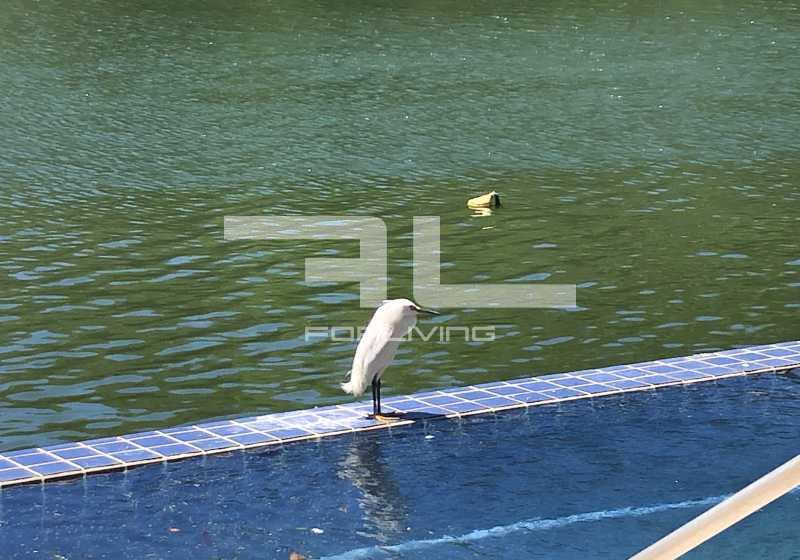 Conheça 024. do imóvel - LINDA MANSÃO TRIPLEX A BEIRA MAR - PORTO PARADISO - ANGRA - 01661CA - 24 024. - 24