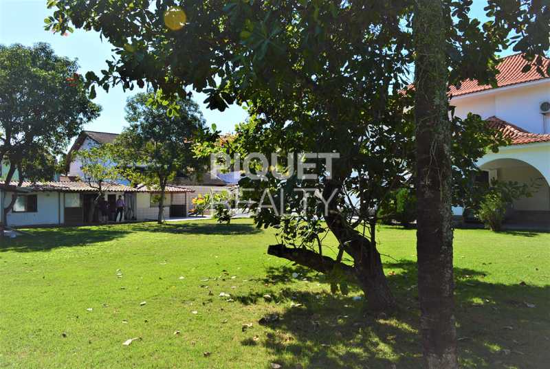 TERRENO GRANDE - 4