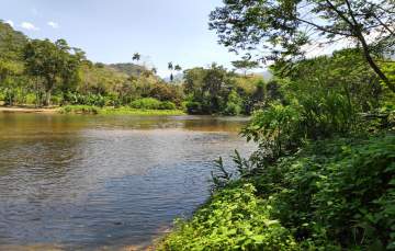 Fazenda 1700000m² à venda Angra dos Reis,RJ Parque Mambucaba (Mambucaba) - R$ 11.990.000 - 00537FA