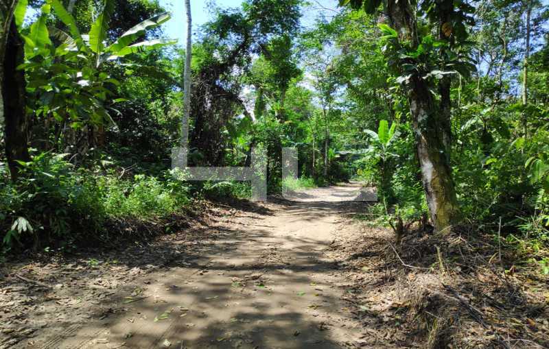 Conheça 006 do imóvel - Fazenda 1700000m² à venda Angra dos Reis,RJ Parque Mambucaba (Mambucaba) - R$ 11.990.000 - 00537FA - 6 006 - 6