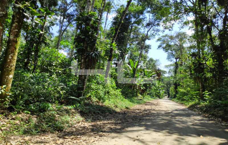Conheça 007 do imóvel - Fazenda 1700000m² à venda Angra dos Reis,RJ Parque Mambucaba (Mambucaba) - R$ 11.990.000 - 00537FA - 7 007 - 7