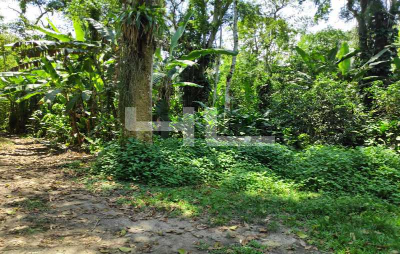 Conheça 011 do imóvel - Fazenda 1700000m² à venda Angra dos Reis,RJ Parque Mambucaba (Mambucaba) - R$ 11.990.000 - 00537FA - 11 011 - 11