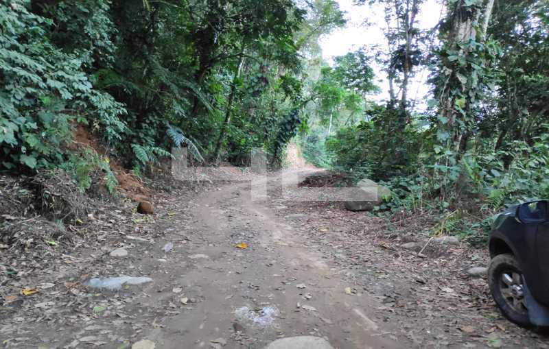Conheça 014 do imóvel - Fazenda 1700000m² à venda Angra dos Reis,RJ Parque Mambucaba (Mambucaba) - R$ 11.990.000 - 00537FA - 14 014 - 14