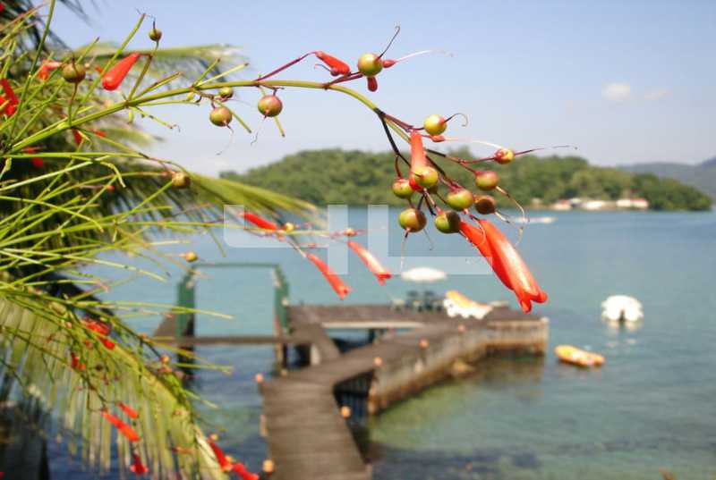 Conheça 0008 do imóvel - Casa 5 quartos à venda Angra dos Reis,RJ Bonfim - R$ 5.000.000 - 00290CA - 8 0008 - 8