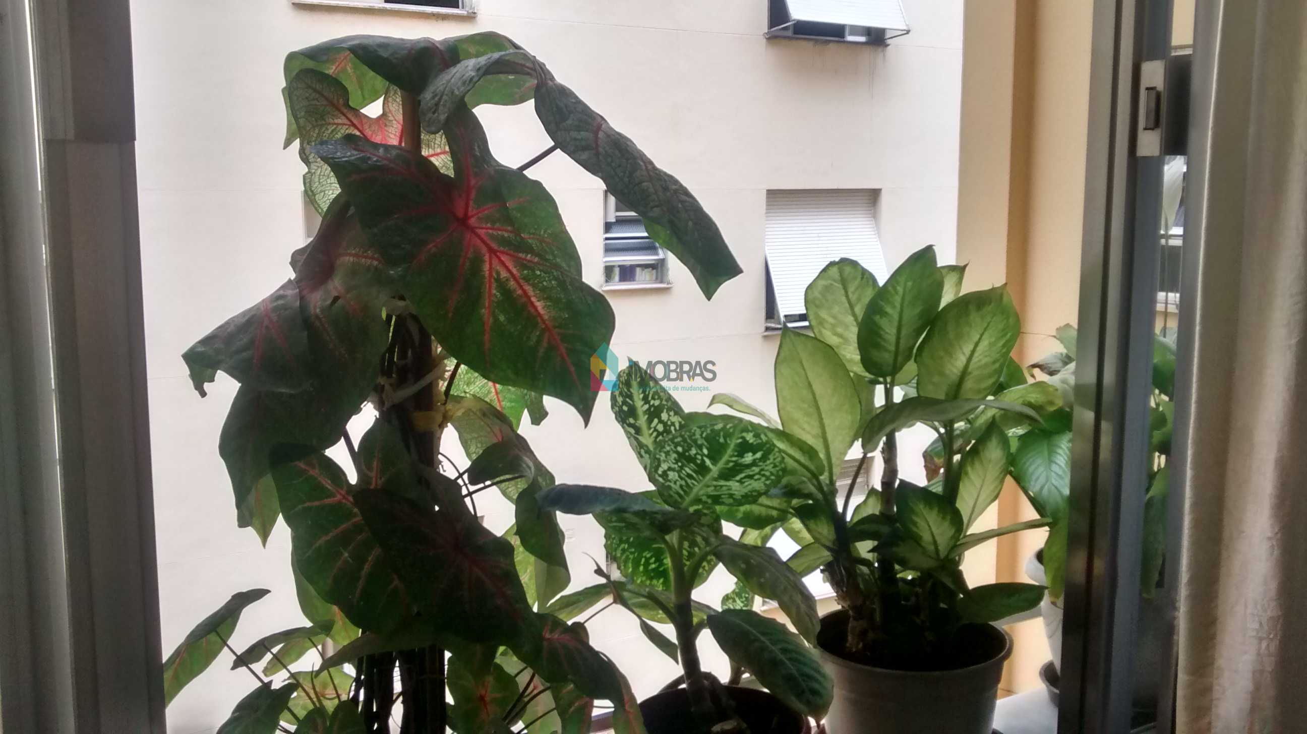 FOTO5 - 13