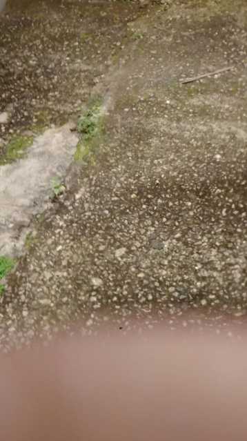 IMG-20170823-WA0037 - 20