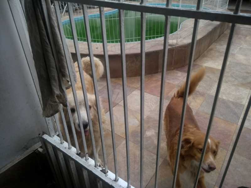 WhatsApp Image 2021-10-04 at 1 - 21