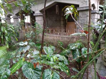 Imperdível - TERRENO ÁREA NOBRE DA TIJUCA - WCCA60012