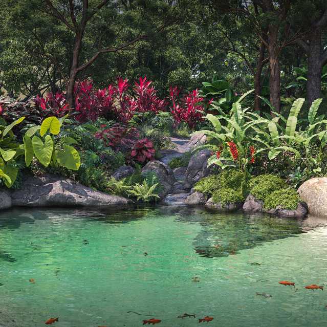 piscina natural sem logo. - 10