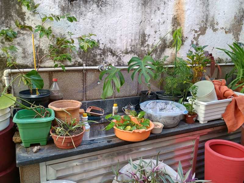 Conheça 1000041488 do imóvel - Casa 6 quartos à venda Tijuca, Rio de Janeiro - R$ 1.299.000 - WCCA60019 - 19 1000041488 - 19