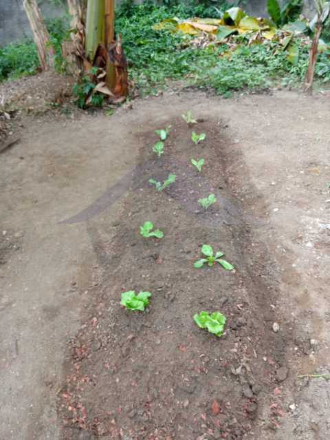 WhatsApp Image 2026-07-23 at 0 - 1