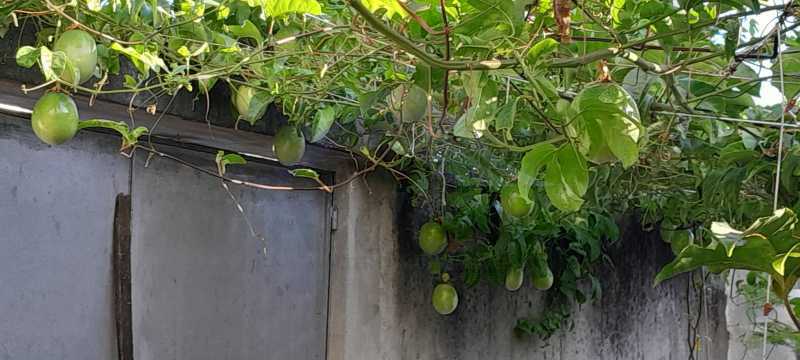 WhatsApp Image 2026-07-23 at 0 - 15