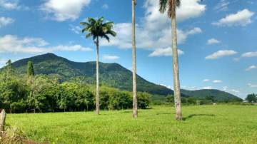 Ótima localização - Terreno Multifamiliar à venda Cotia, Guapimirim - R$ 142.000 - SIMF00054