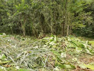Terreno Unifamiliar à venda Limoeiro, Guapimirim - R$ 120.000 - SIUF00054