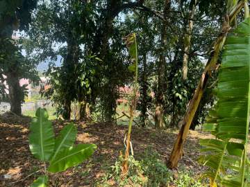 Terreno Unifamiliar à venda Iconha, Guapimirim - R$ 130.000 - SIUF00060