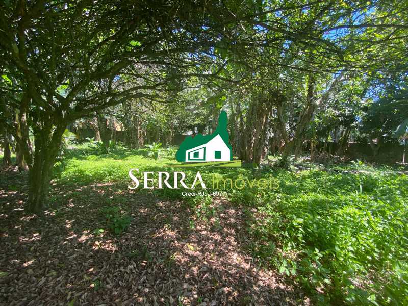 12150281-7e24-440d-a1c6-e4753d - 2