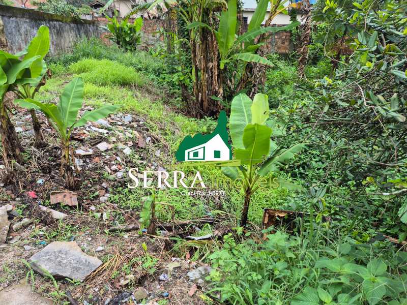 3d55b8f7-d3e6-4baf-ba5d-b04f45 - 2