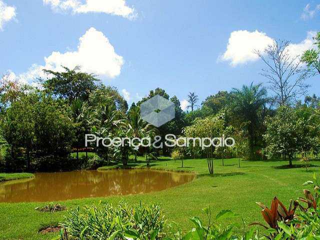 FOTO10 - 11
