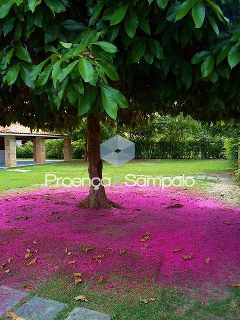 FOTO12 - 14
