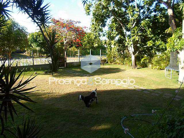FOTO3 - 4