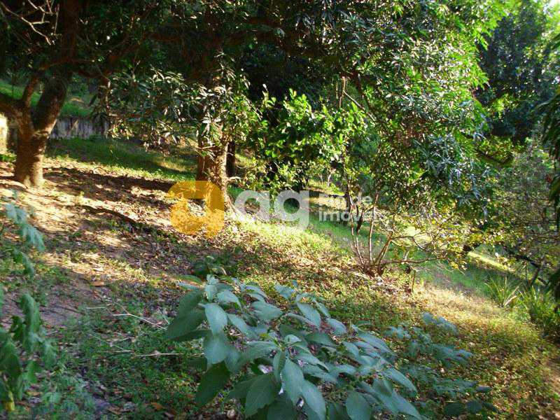 WhatsApp Image 2025-10-17 at 1 - 8