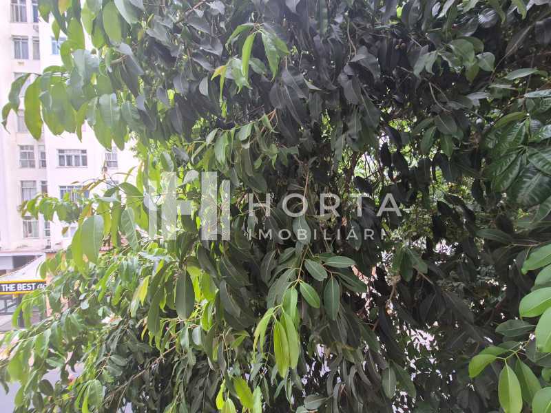 IMG-20260119-WA0146 - 13